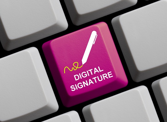Digital Signature Certificate in delhi